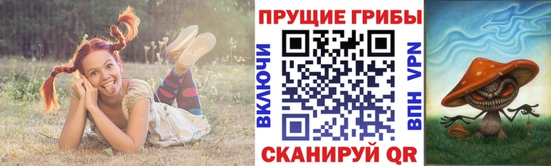 Галлюциногенные грибы мицелий  blacksprut   Фокино 
